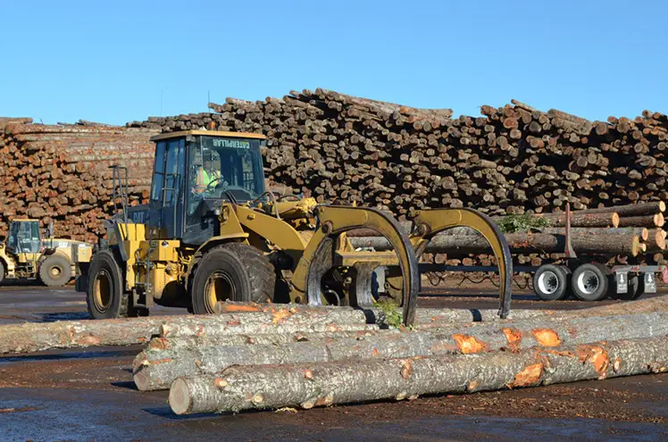 A wheel loader with a log grapple working the log deck beside stacked logs and a loaded log truck.