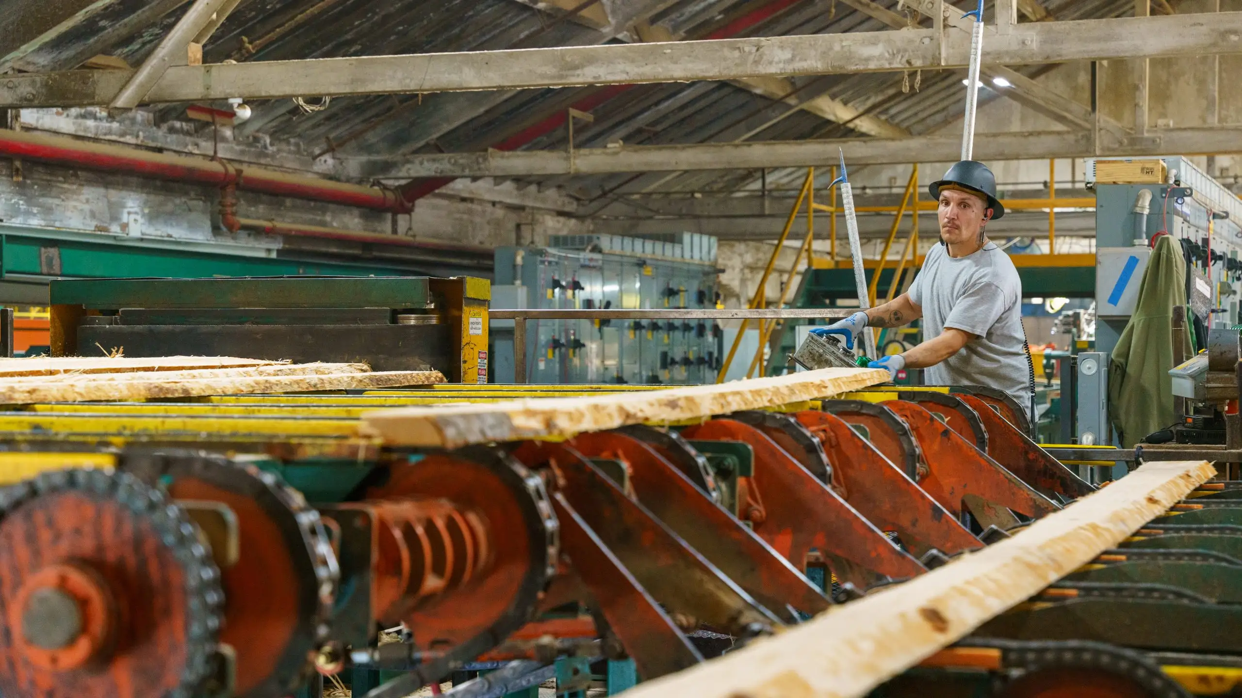 A mill hand at the controls of a heavy chain conveyor carrying a freshly sawn cant.